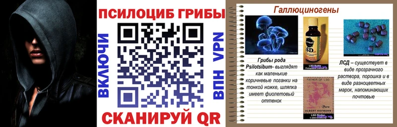 Купить где  Елабуга  Галлюциногенные грибы Cubensis 